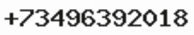 Телефон компании