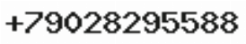 Телефон компании
