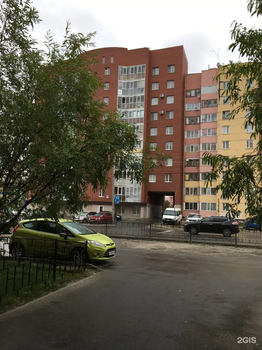 Плешка — фото 2