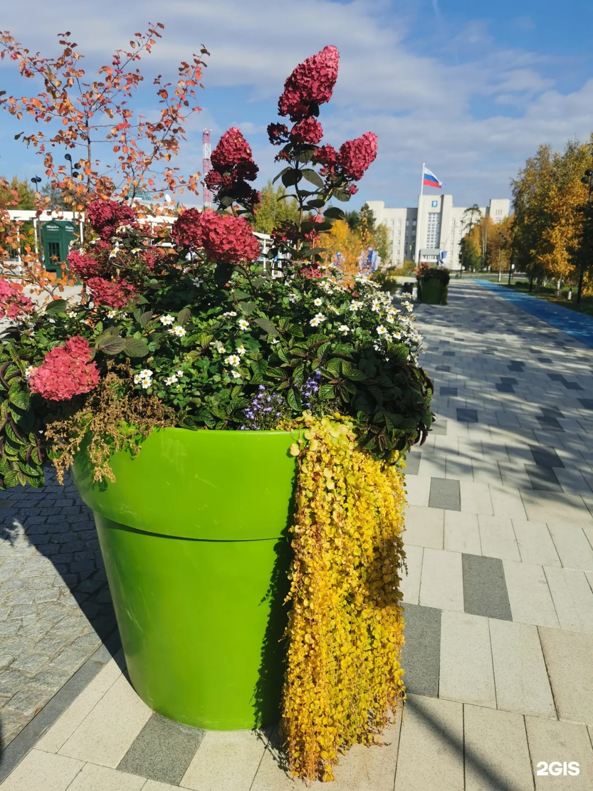 «Ноябрьск-парк» парк культуры и отдыха, Ноябрьск