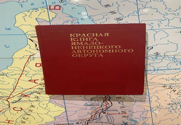 Эко-квест «Красная книга Ямала», Музей истории и археологии города Надыма