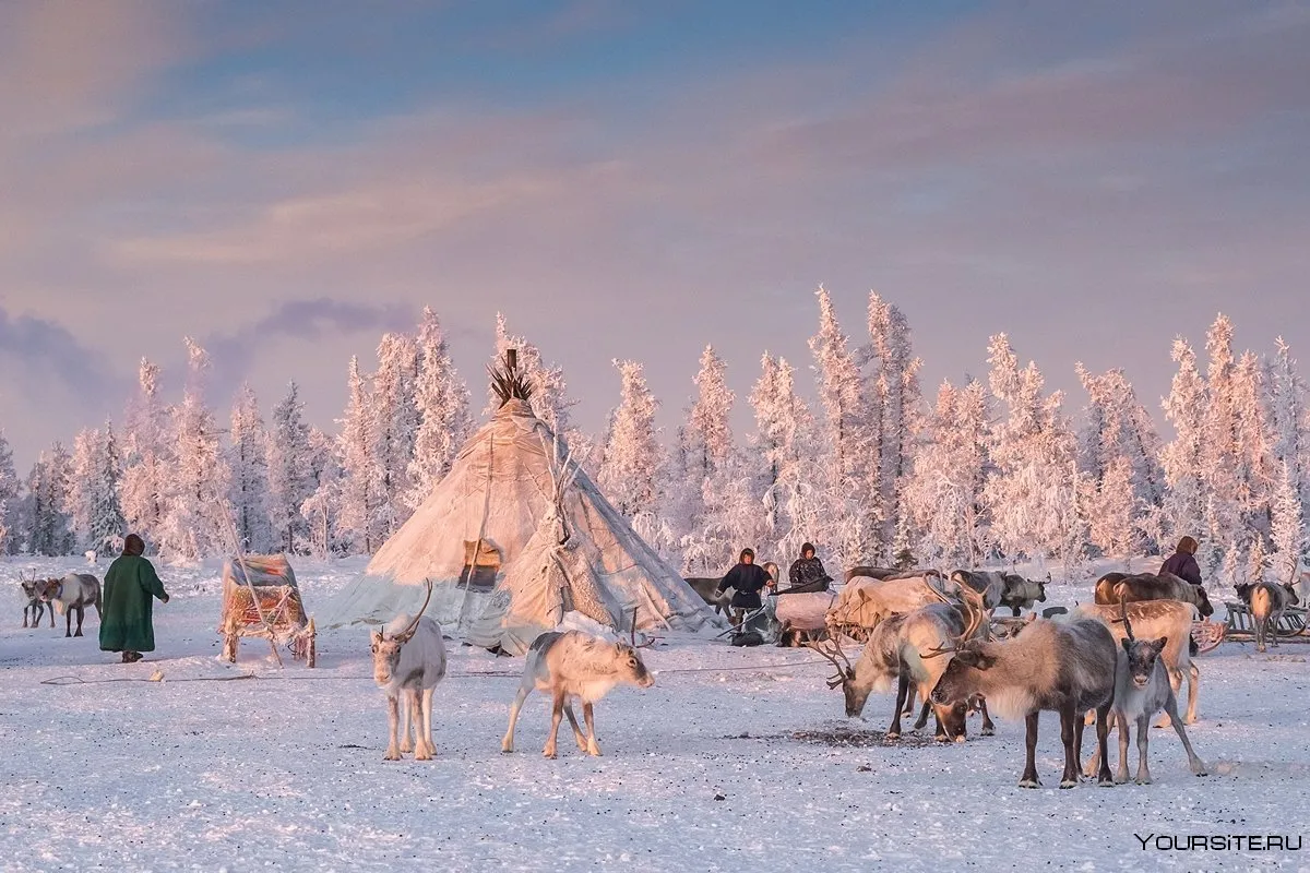 Этнотур «Чумовые выходные», «Discover Yamal» Туроператор на Ямале